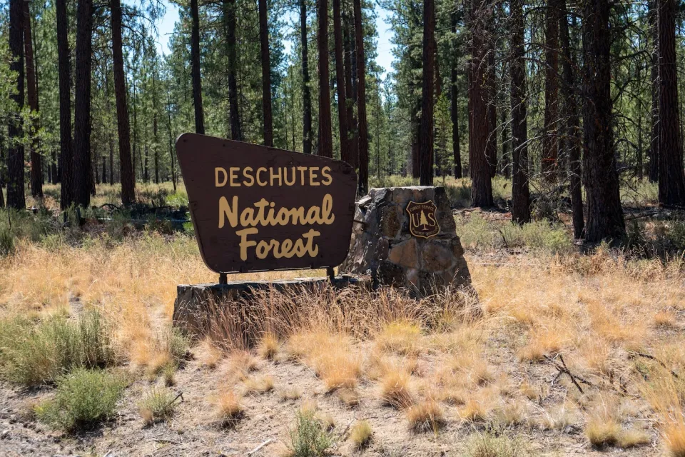 Sign for Deschutes National Forest in Oregon.